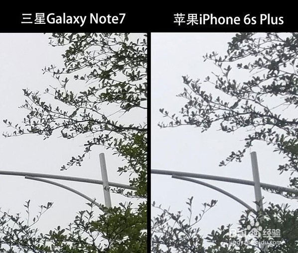 三星Note7拍照对比iPhone 6s Plus