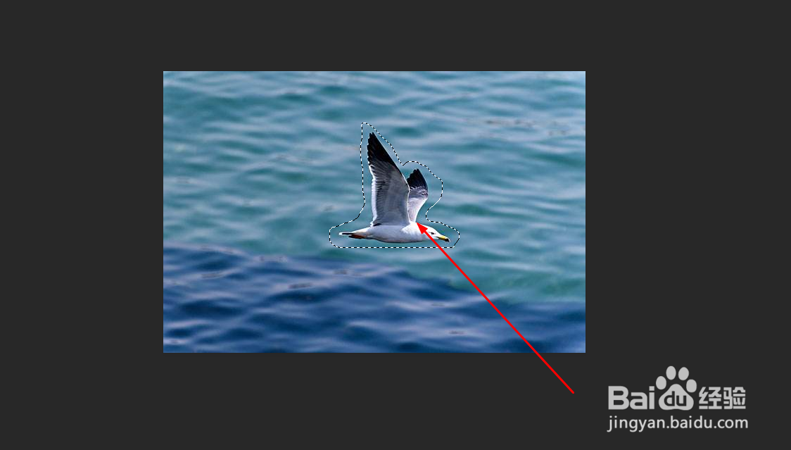 Photoshop如何快速去掉多余的内容