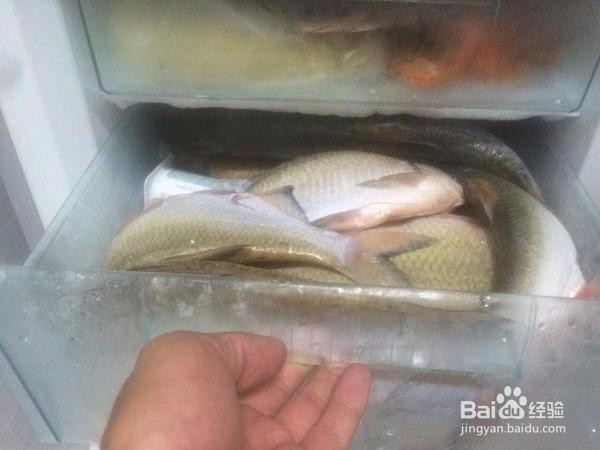 鱼不能在冰箱放太久