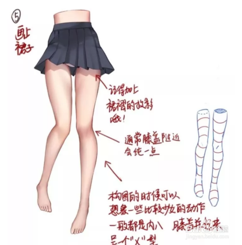 女性腿部怎么画？
