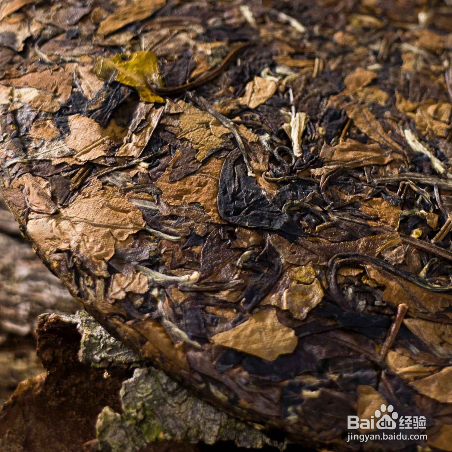 政和白茶茶叶保存的六大要素介绍