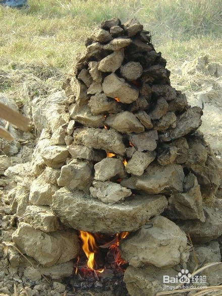 99%小朋友不知花生长地里还是挂树上，你信吗？