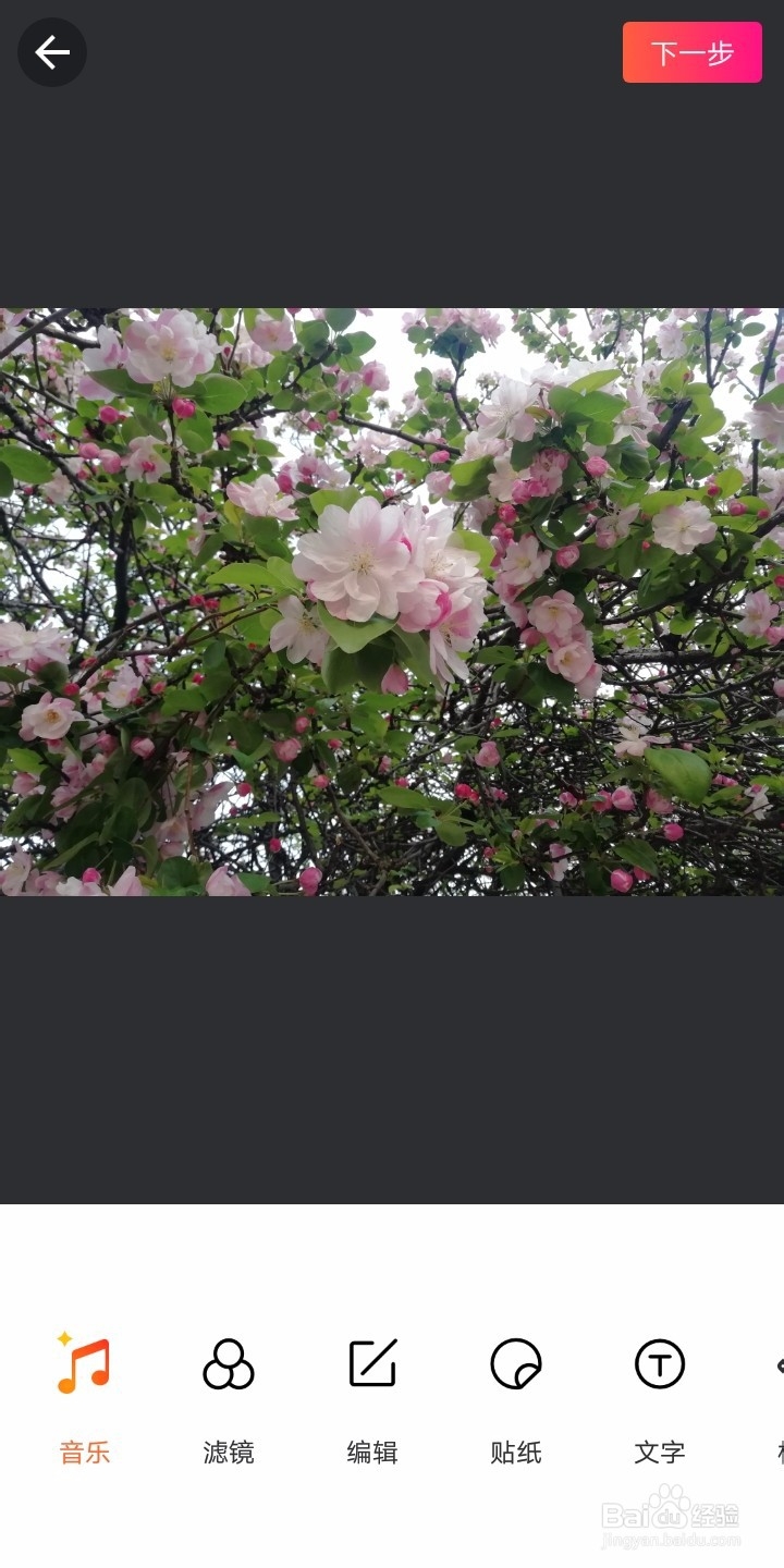 手机版美图秀秀怎么修改图片的大小