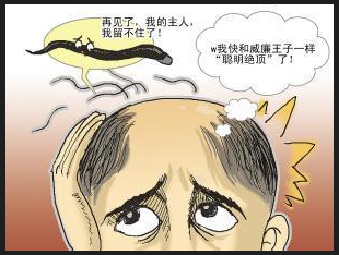 老掉头发是什么原因