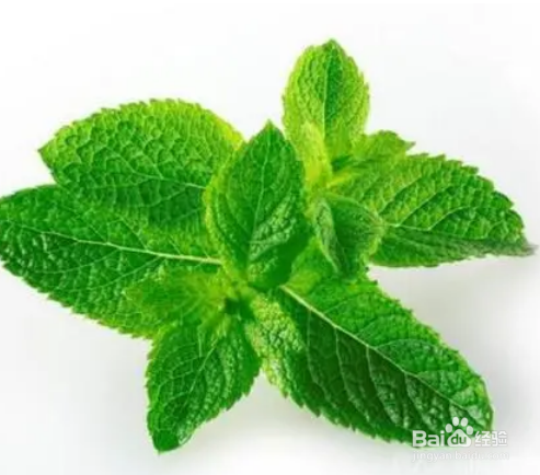 泰绿柠檬茶配方
