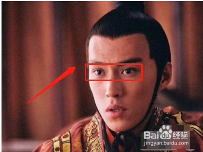 汉武帝在政治上采取的措施