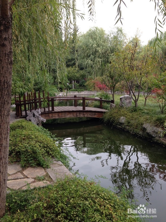 苏州南京六天五夜旅游攻略