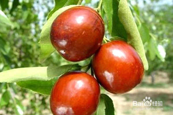 月经期间，怎样做好经期保健