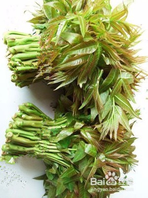 您知道吃食香椿芽不当可致癌吗
