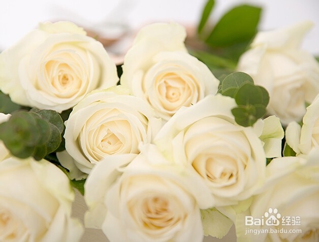 怎样求婚成功率高