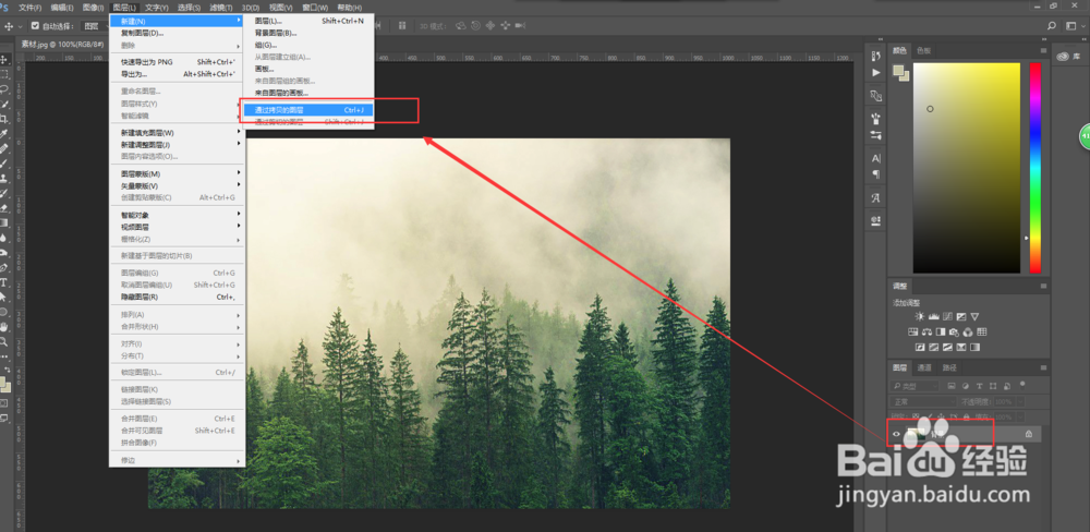 PS中怎么将松树林抠图抠出来