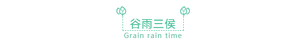 谷雨来临,微信公众号图文排版有哪些素材?