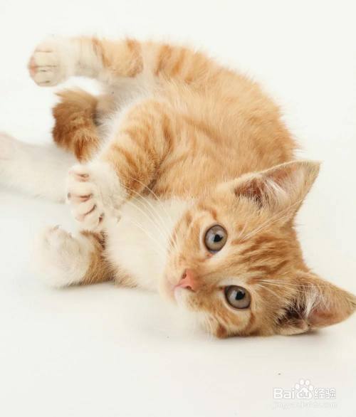 PS如何用去色命令制作黑白放大镜?