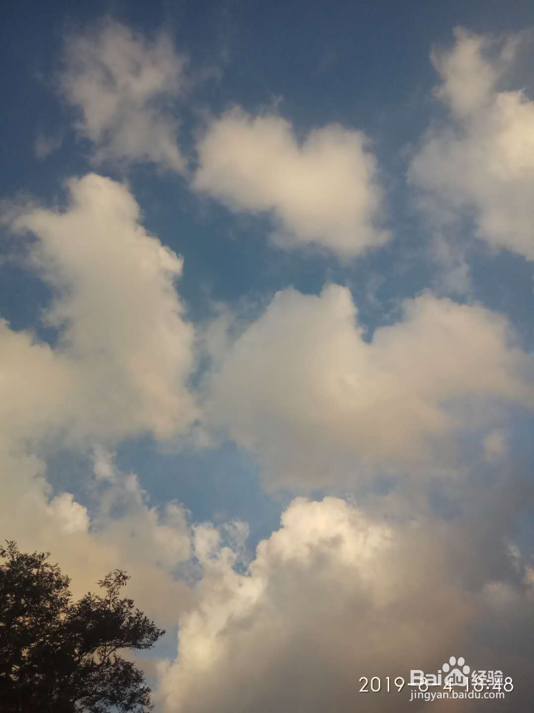 绿色旅游地推荐