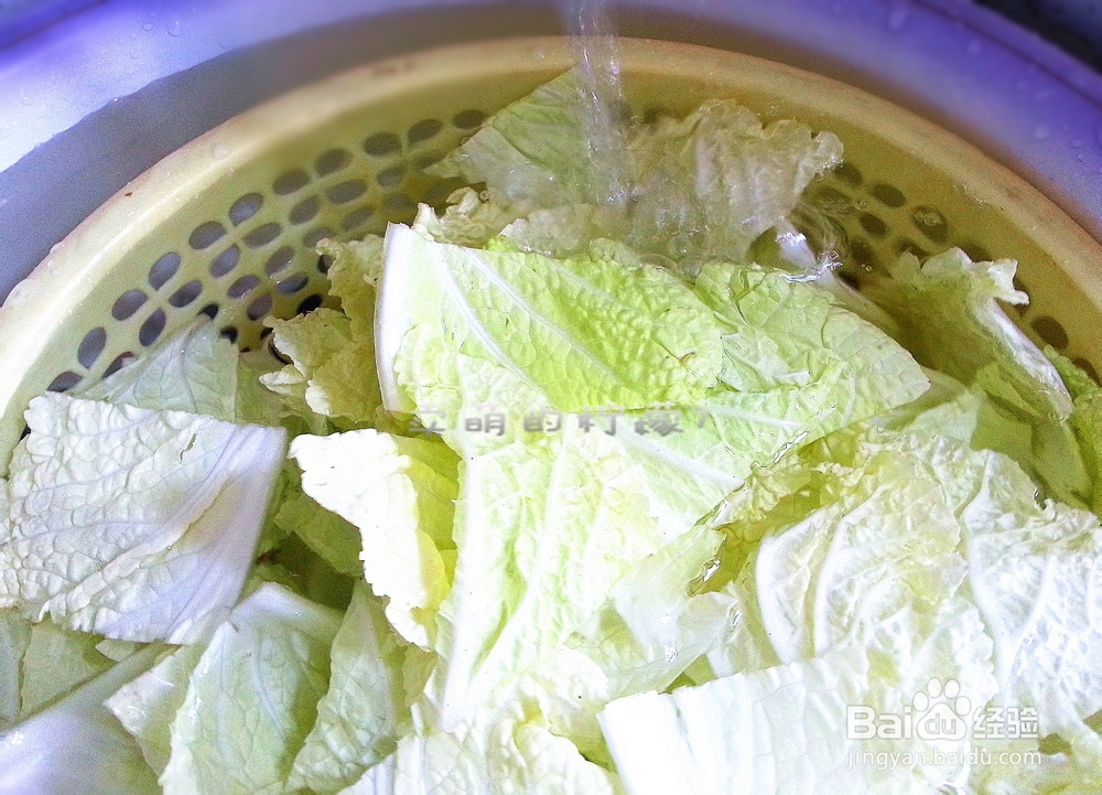 走近大白菜--清炒大白菜