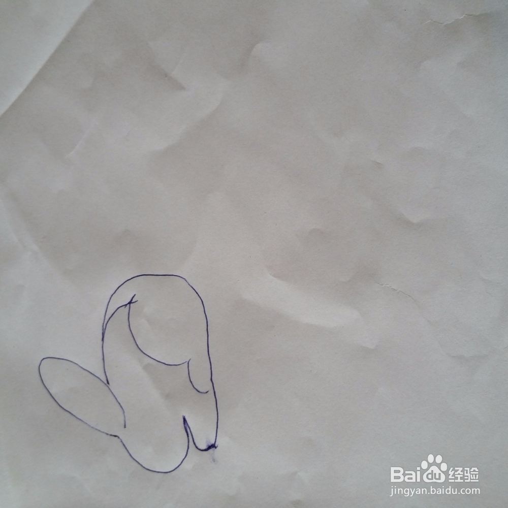 小白兔简笔画画法
