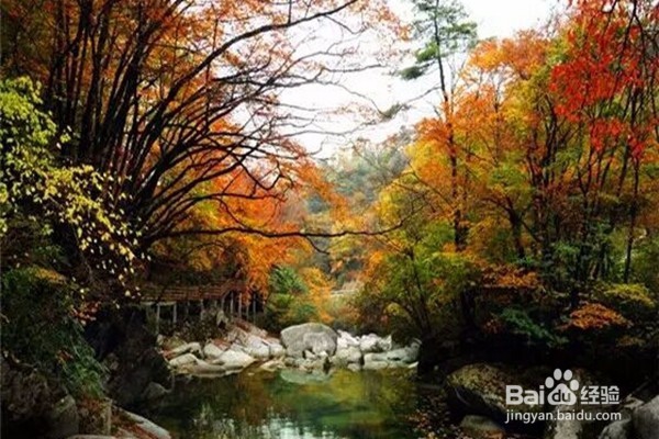 光雾山旅游攻略