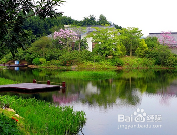 广州大观湿地公园在哪里？