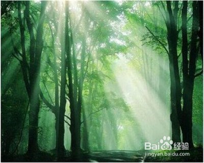 夏天如何防治中暑