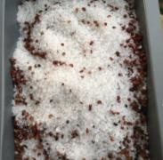 盐焗大虾怎么做好吃不腥