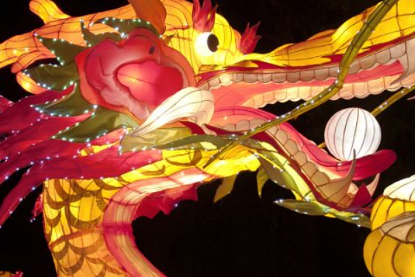 谈商道是什么动物