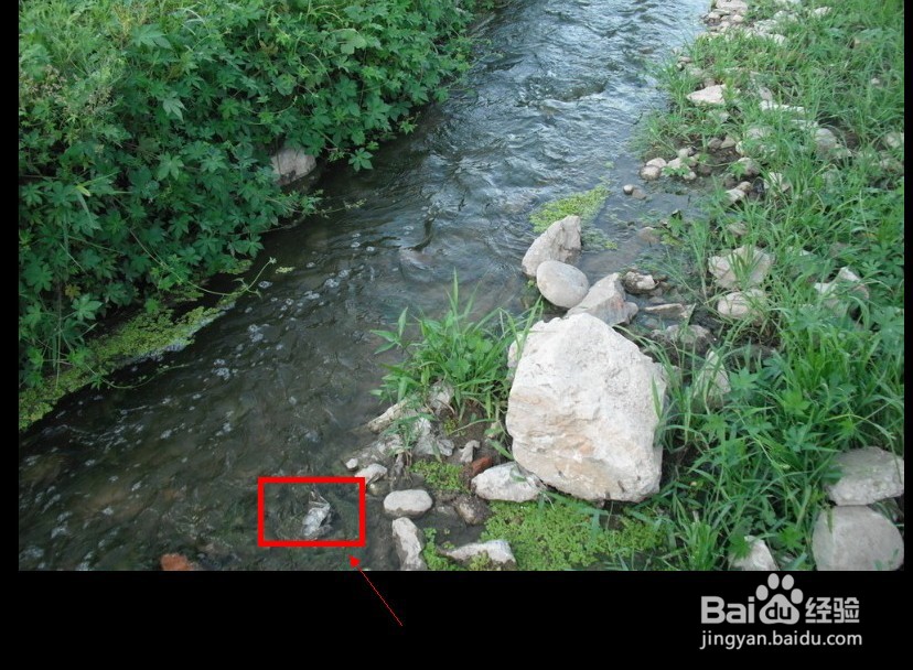 ps中如何用污点修复画笔清除不需要的影像