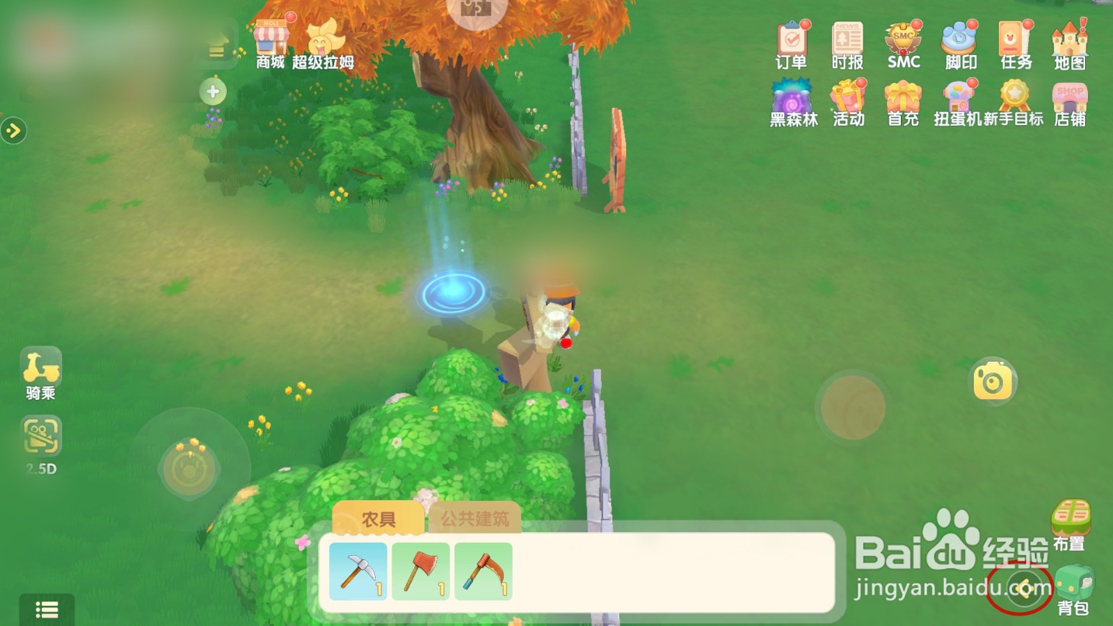 摩尔庄园如何修改拉姆的昵称