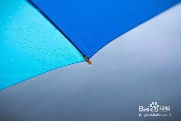 七个摄影小技巧,让你在雨天也能拍出好照片