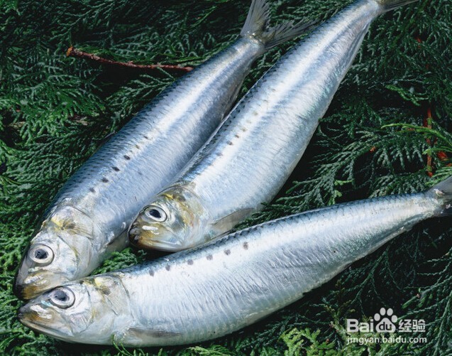 脚痛风如何治疗