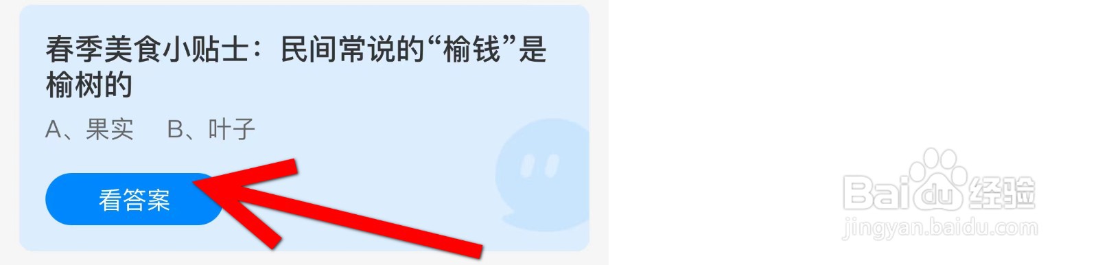 蚂蚁庄园民间常说的“榆钱”是榆树的