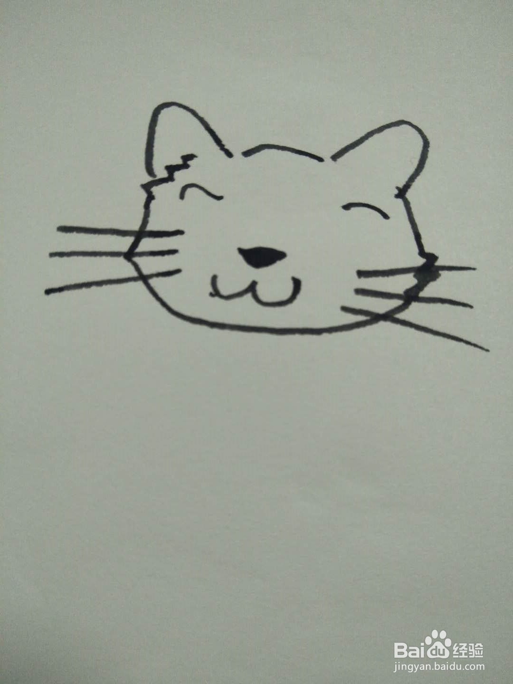 猫的简笔画法8