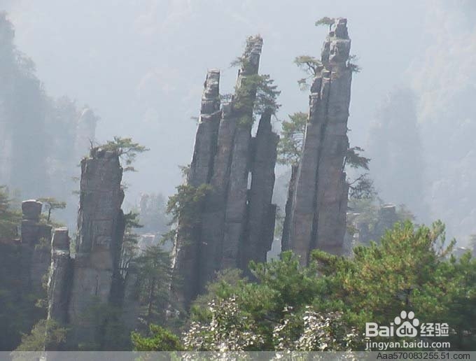 常德到张家界自助游攻略