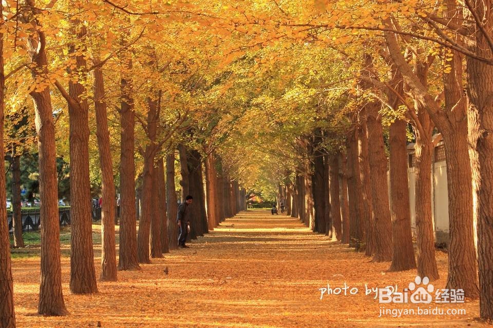 北京好看的拍摄地点，四个吧~以后再补