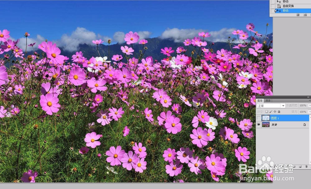 ps教程--创建图层、隐藏与显示、对齐与合并图层