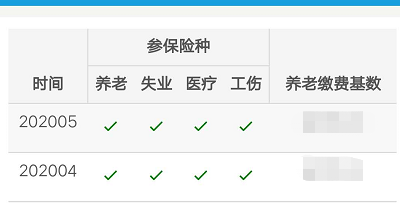 支付宝怎么查看社保缴费明细