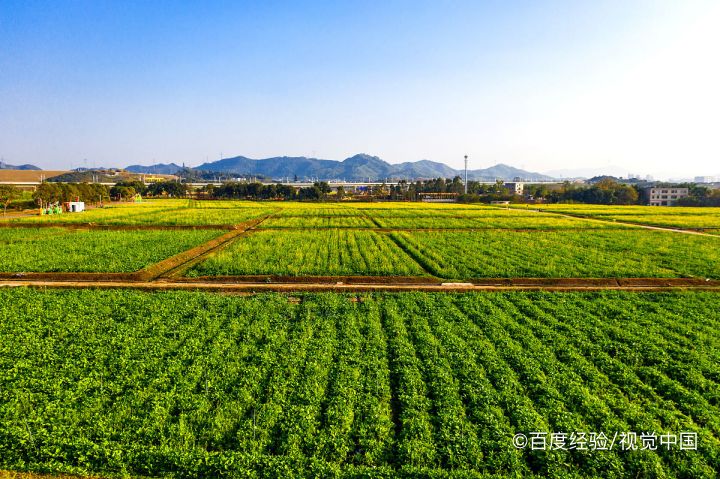 光明有什么好玩的景点