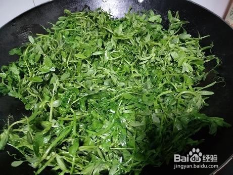 素炒野豌豆苗