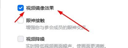 腾讯会议怎样开启视频镜像效果