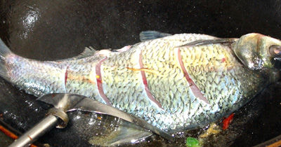 教你做出美味红烧鳊鱼!