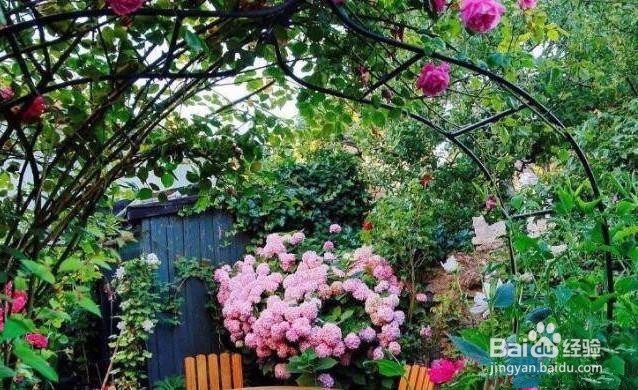 农村的小院子该如何规划