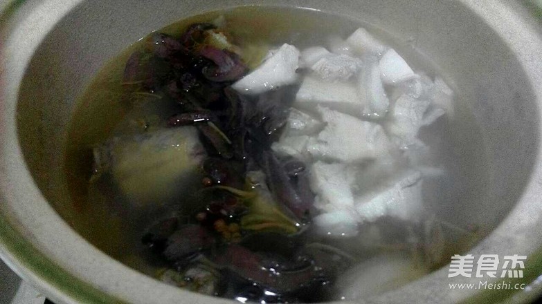 炖鸽子的家常做法