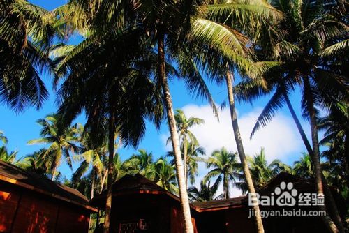 海南椰岛东郊小镇游记