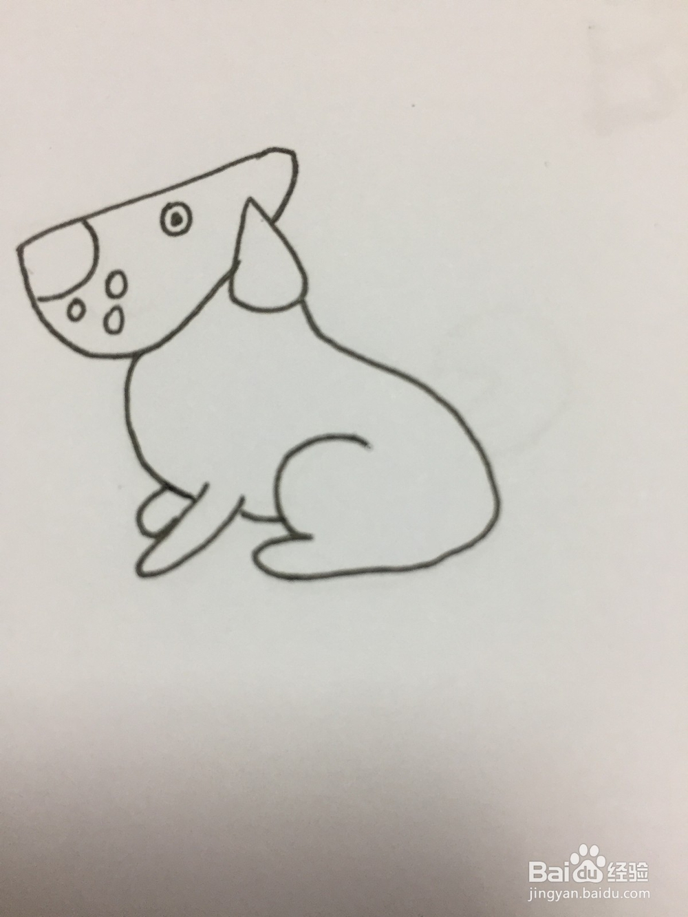 简笔画的狗狗