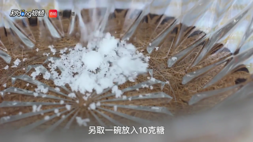 如何做草莓蛋糕