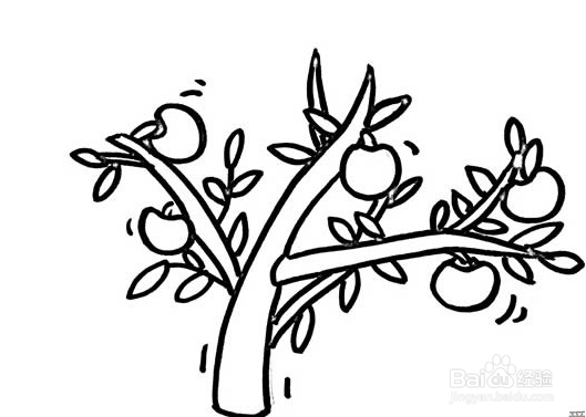 如何画苹果树简笔画?
