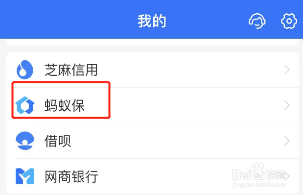在哪里查大病保险缴费记录