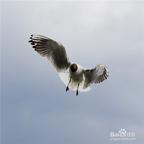 百万富翁们都有这10条生活习惯，成功真的有原因