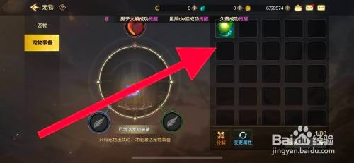 DNF手游宠物装备如何穿戴