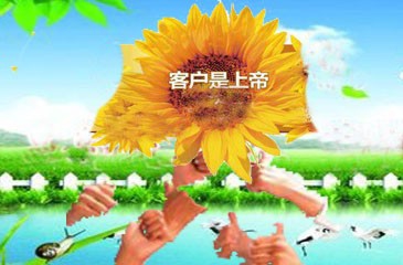 走向成功的大五财富