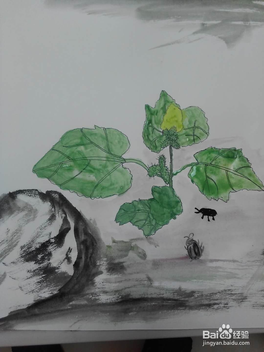 呆耳的水彩画法